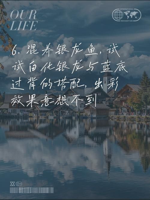 銀龍魚和雙線魚能混養(yǎng)嗎圖片欣賞
