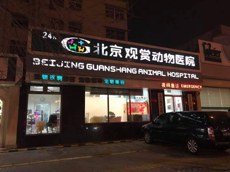 北京龍魚手術醫院地址電話