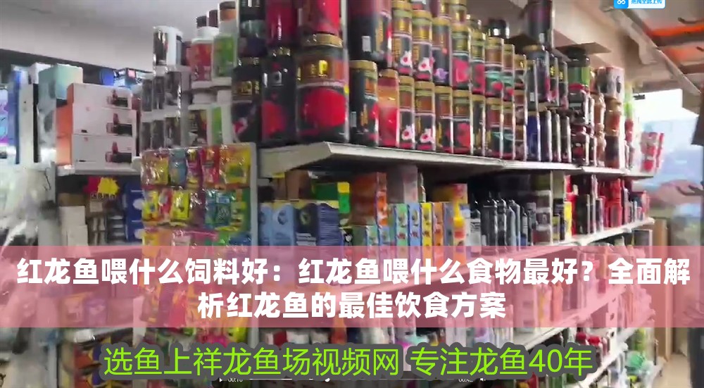 紅龍魚喂什么飼料好：紅龍魚喂什么食物最好？全面解析紅龍魚的最佳飲食方案