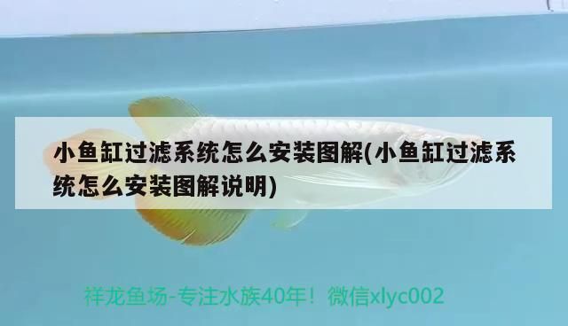魚缸過濾泵安裝教程（魚缸過濾泵維護周期如何選擇合適的濾材）