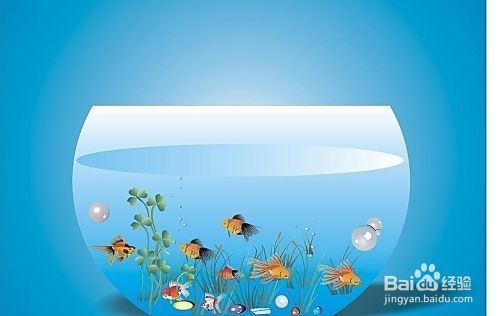魚缸過濾泵安裝教程（魚缸過濾泵維護(hù)周期如何選擇合適的濾材）
