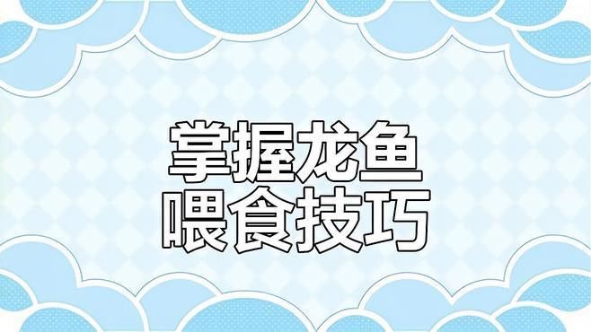 龍魚喂食量如何控制？