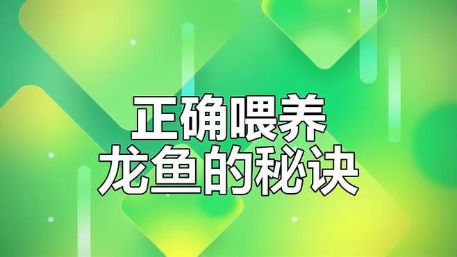 龍魚喂食量如何控制？
