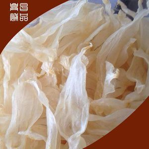 龍魚美容師去哪找：如何成為龍魚美容師 龍魚美容師去哪找：如何成為龍魚美容師 龍魚百科 第5張