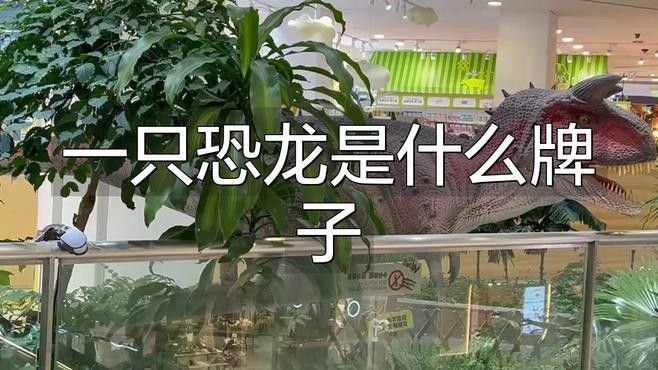 龍形擺件有哪些知名品牌？ 龍形擺件有哪些知名品牌？ 龍魚百科 第3張