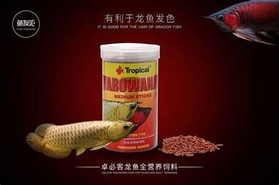 龍魚發色飼料配方比例(自制龍魚發色飼料配方是一種簡單的顆粒飼料的方法) 龍魚百科 第2張 龍魚發色飼料配方比例(自制龍魚發色飼料配方是一種簡單的顆粒飼料的方法) 龍魚發色飼料配方比例(自制龍魚發色飼料配方是一種簡單的顆粒飼料的方法) 龍魚百科 第2張