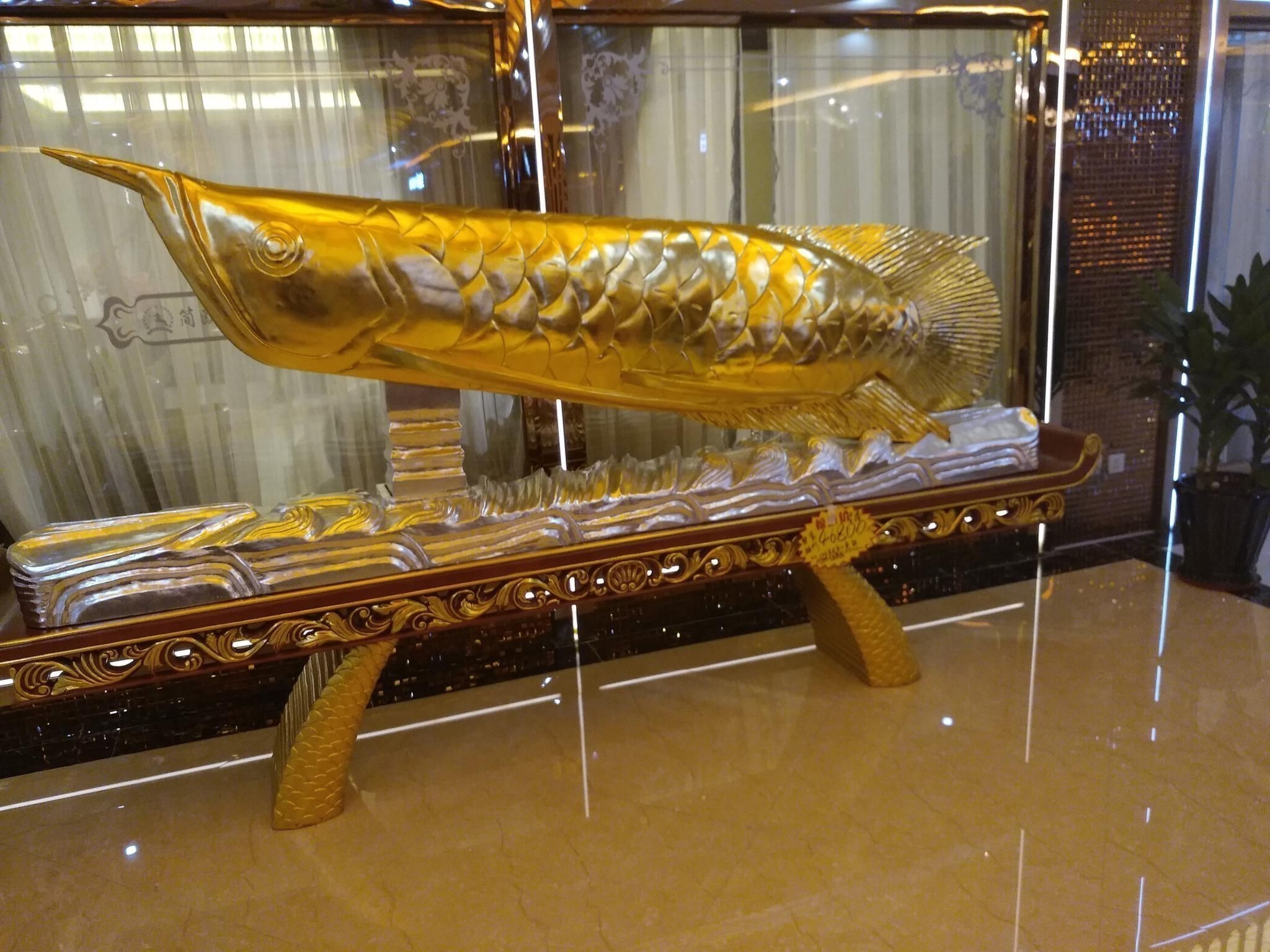 辦公室養紅龍魚好嗎風水好嗎：辦公室金龍魚擺件的正確擺放位置