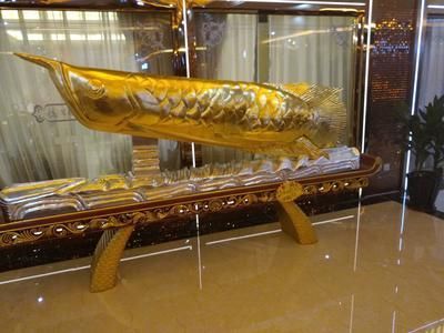 辦公室養紅龍魚好嗎風水好嗎：辦公室金龍魚擺件的正確擺放位置