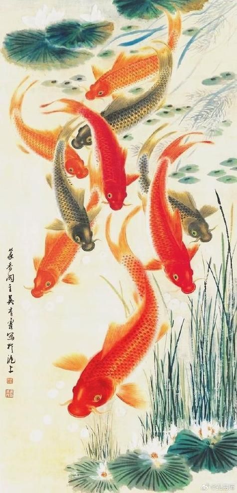 風(fēng)水魚圖片大全大圖