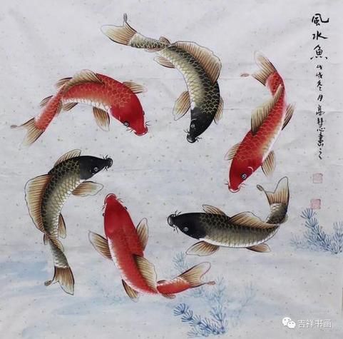 風(fēng)水魚圖片大全大圖