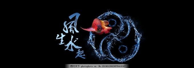 紅龍魚缸用什么背景（養紅龍魚用什么背景顏色比較好） 紅龍魚缸用什么背景（養紅龍魚用什么背景顏色比較好） 龍魚百科 第3張