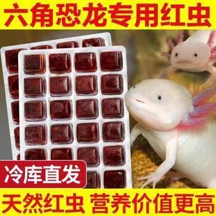 六角恐龍魚飼料可以喂金魚嗎，六角恐龍魚飼料喂金魚的風(fēng)險