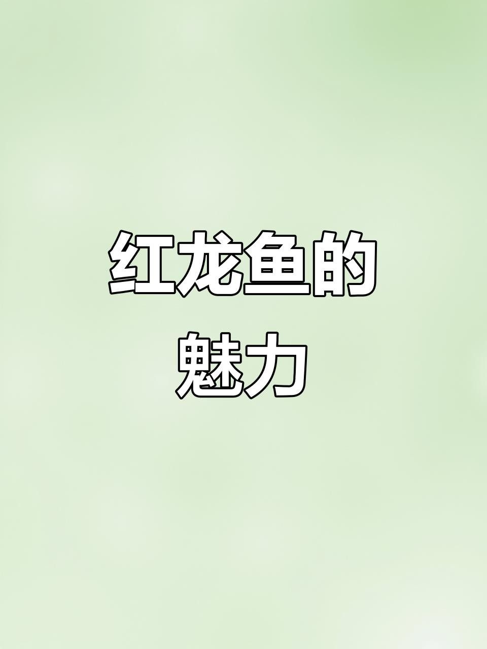 如何區分綠皮紅龍魚的品質？