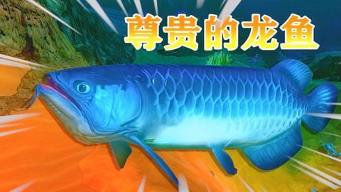 龍魚可以吃蜜蜂嗎：龍魚可以吃蜜蜂嗎，