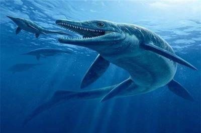 薩斯特魚龍?bào)w重75噸：薩斯特魚龍是史上最大的海生爬行生物之一，體重達(dá)75噸