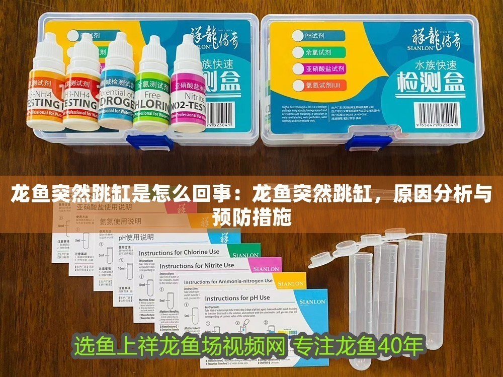 龍魚突然跳缸是怎么回事：龍魚突然跳缸，原因分析與預防措施 龍魚突然跳缸是怎么回事：龍魚突然跳缸，原因分析與預防措施 龍魚百科 第1張