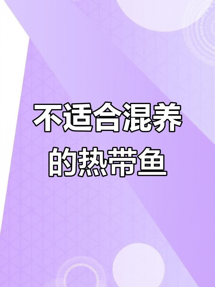 羅漢魚最不能養三種魚