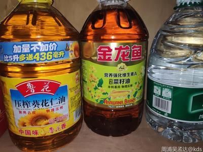 金龍魚kds：金龍魚品牌怎么樣