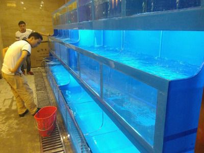 關于龍魚換水要求（關于龍魚換水的要求）