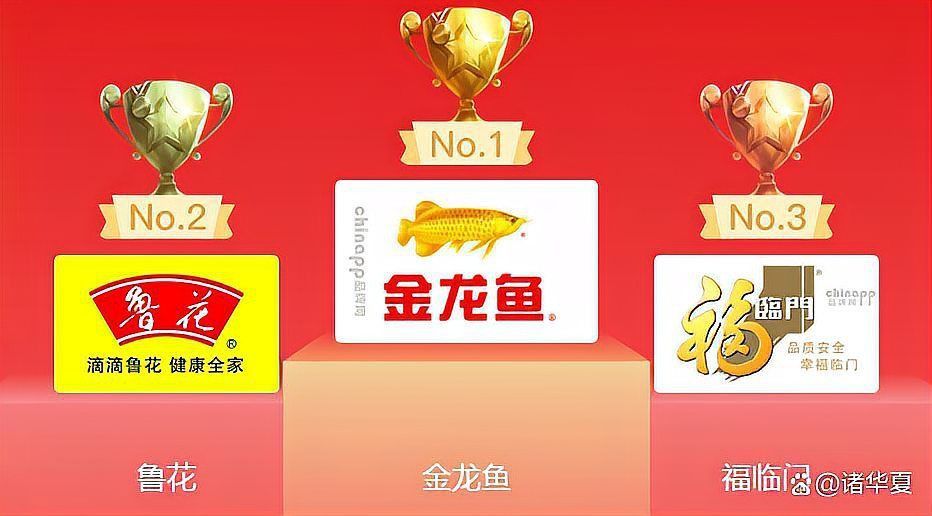 金龍魚排名前十 金龍魚排名前十 龍魚百科 第4張