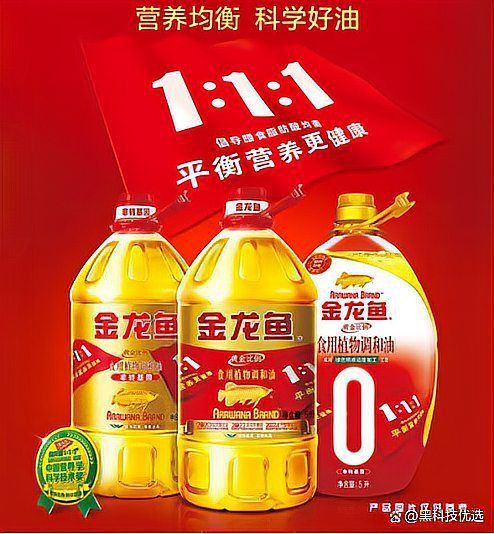 金龍魚排名前十 金龍魚排名前十 龍魚百科 第14張