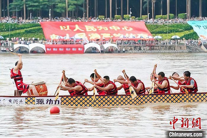 南寧龍魚比賽事故最新消息