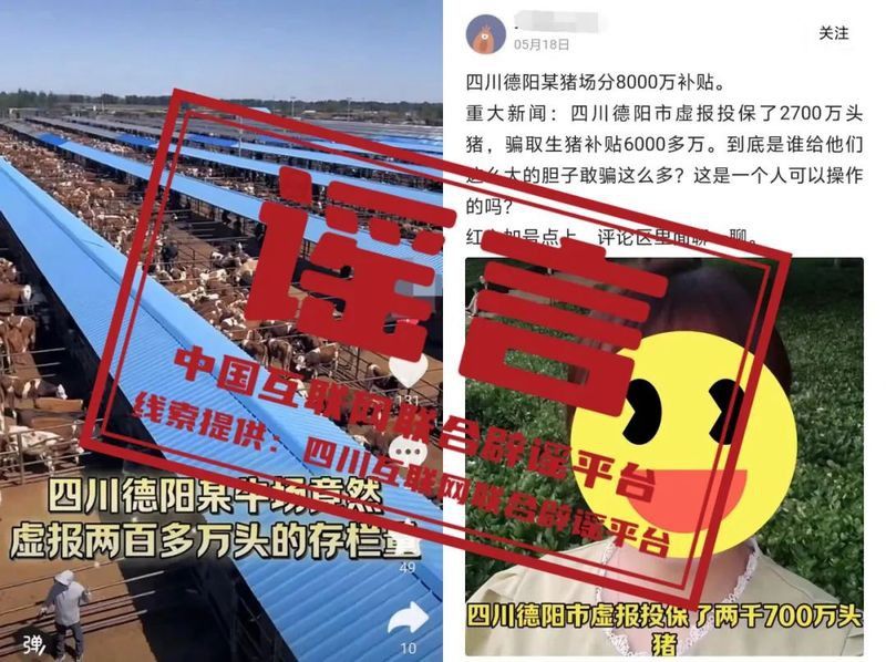 南寧龍魚比賽事故最新消息
