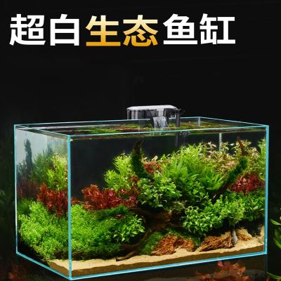 紅龍魚能養多久不死（紅龍魚能養多久不死呢）
