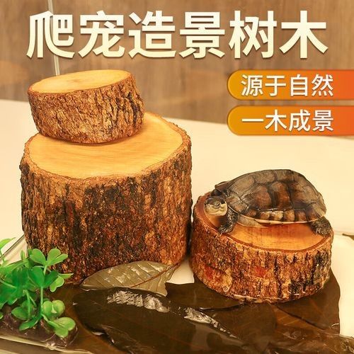 龍魚缸沉木 龍魚缸沉木 龍魚百科 第8張