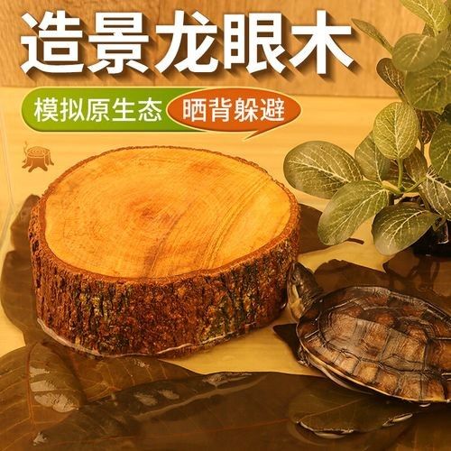 龍魚缸沉木 龍魚缸沉木 龍魚百科 第9張