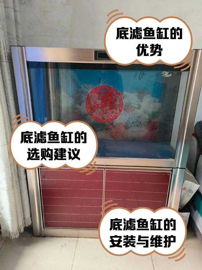 龍魚缸濾材搭配圖