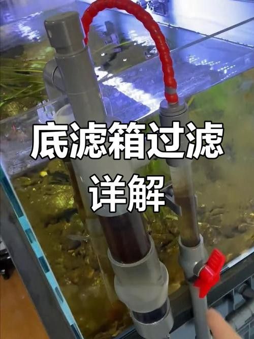 龍魚缸濾材搭配圖