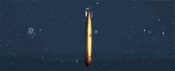 黑色龍魚深海