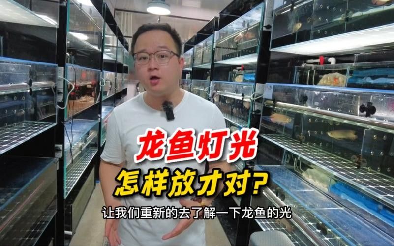龍魚發色燈正確位置圖