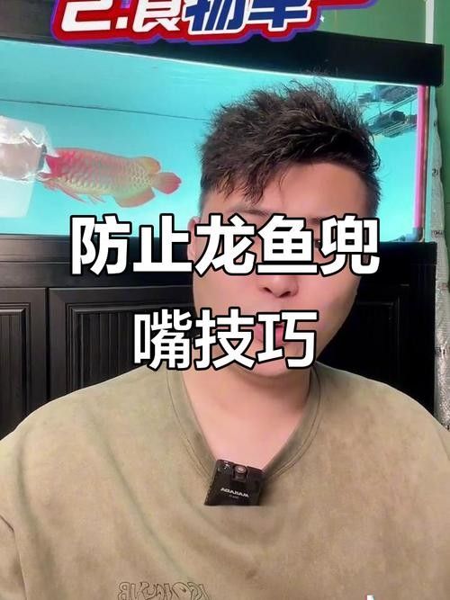 龍魚兜嘴什么樣子