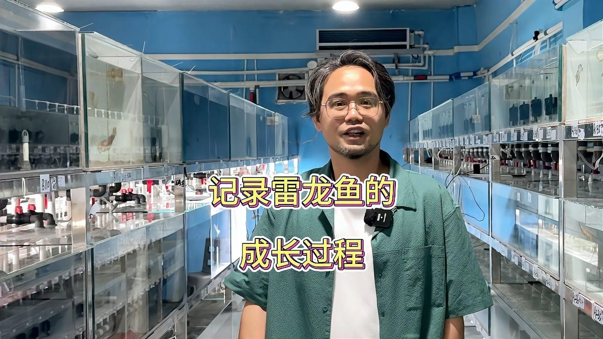 雷龍魚和龍魚哪個厲害些