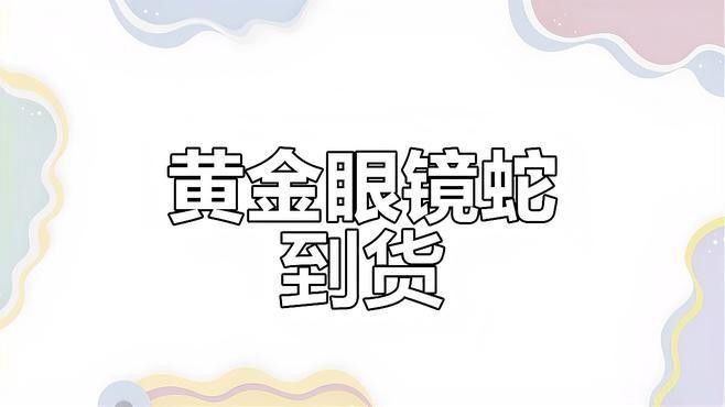 雷龍魚和龍魚哪個(gè)厲害些