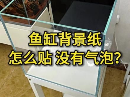 雷龍魚貼紙背景
