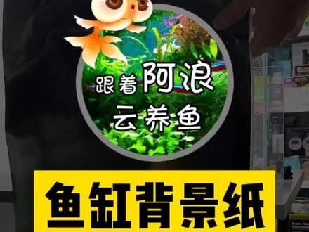 雷龍魚貼紙背景