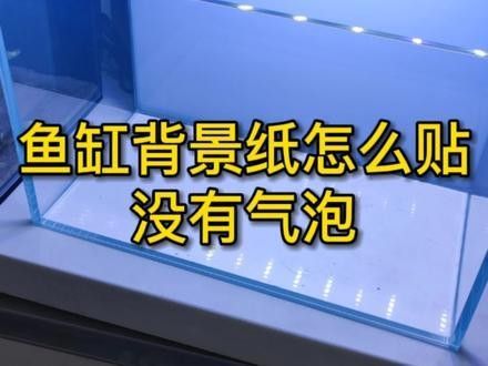 雷龍魚貼紙背景