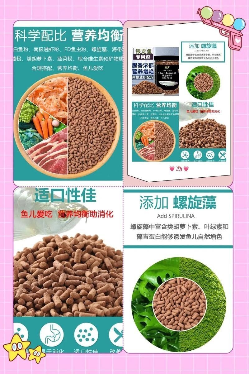 銀龍魚(yú)一般喂什么魚(yú)料最好