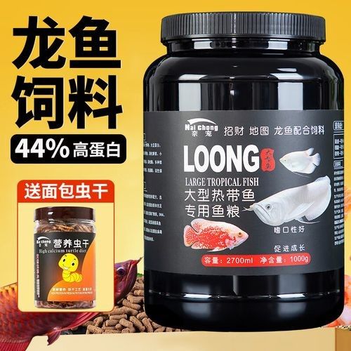 銀龍魚(yú)一般喂什么魚(yú)料最好