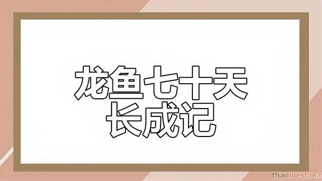 龍魚專用鹽如何正確使用？