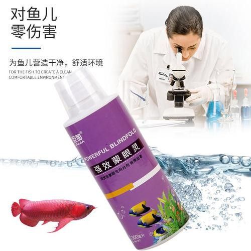 龍魚眼睛里面有白色的東西怎么辦圖片