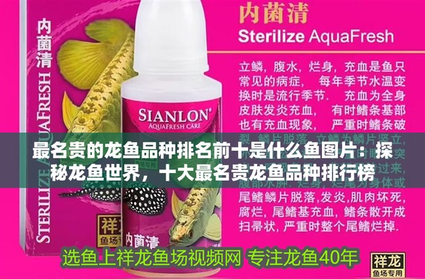 中國龍魚排名前十 中國龍魚排名前十 龍魚百科 第5張