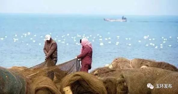 龍頭魚禁漁期具體是哪些時間？