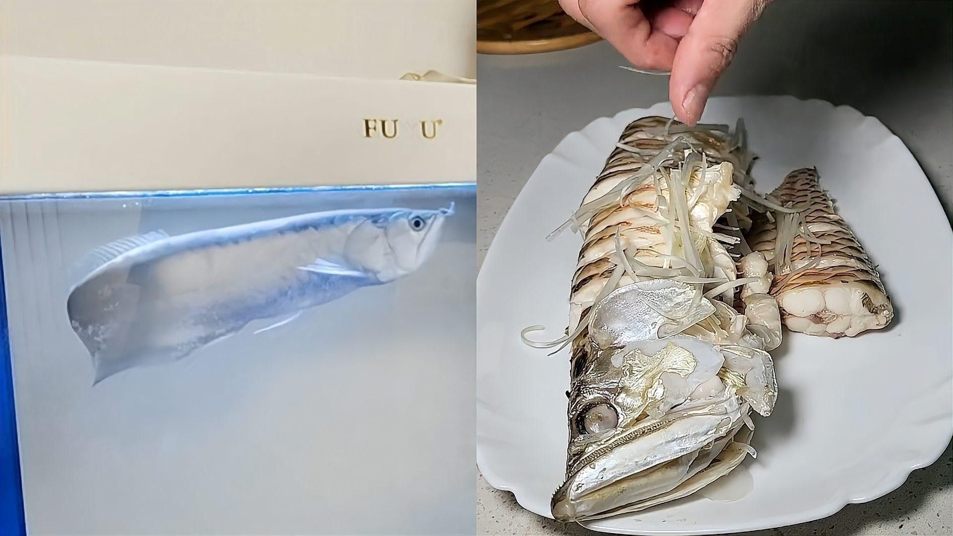 銀龍魚吃食不積極怎么辦 銀龍魚吃食不積極怎么辦 龍魚百科 第1張