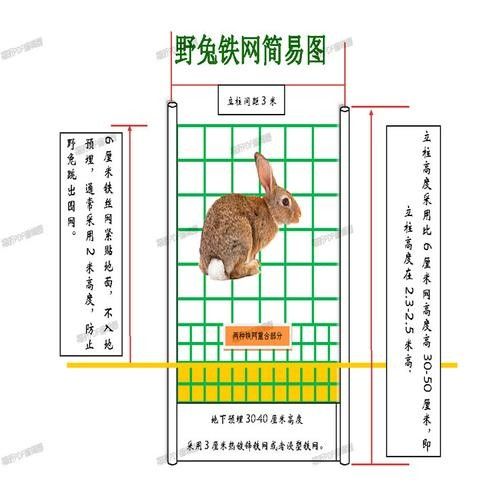 龍貓籠子材質有哪些選擇？ 龍貓籠子材質有哪些選擇？ 龍魚百科 第4張