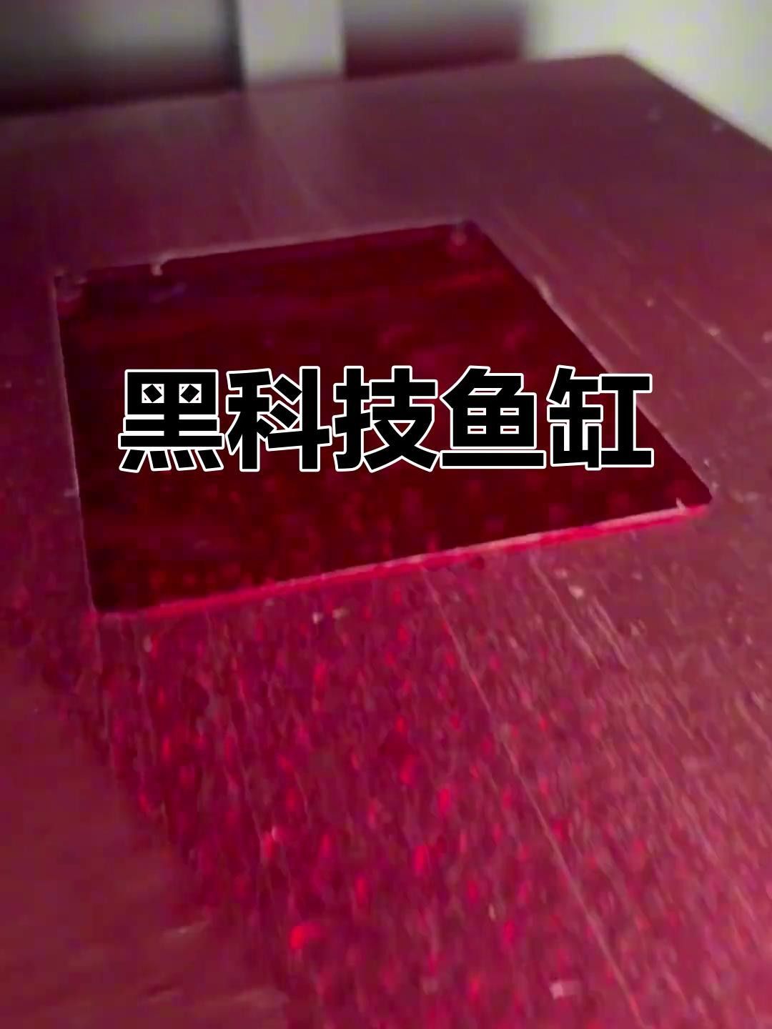 龍魚缸有哪些特殊功能？