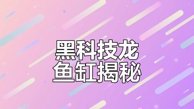 龍魚缸有哪些特殊功能？